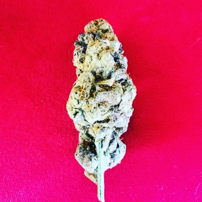 MarijuanaTrain Profile Picture