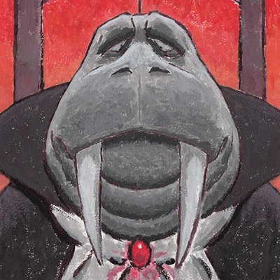 Adriel Zuccoliさんのプロフィール画像