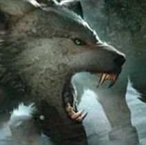 🇺🇸wolftemplarさんのプロフィール画像