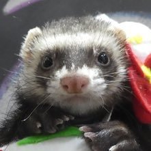 のんさんさんのプロフィール画像