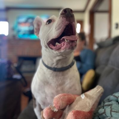 9ab112a0294c42f's profile picture. 