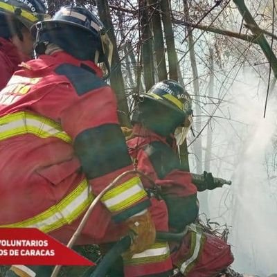 Oficialmente señor y señora carreño