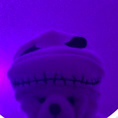 TsushimaH1's profile picture. 