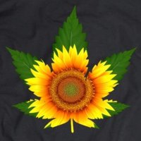 Kansas NORML (@kansasnorml) 's Twitter Profile