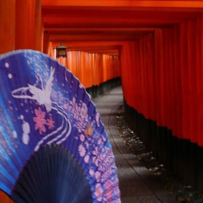 パックスPさんのプロフィール画像