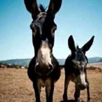 Μπουρμπουληθρα (@mpourmpoulith11) 's Twitter Profile