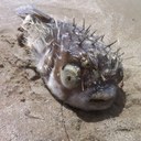 Richard Hole - @rrghole - Twitter