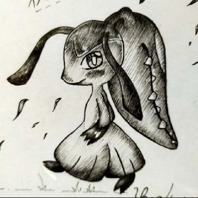 クロさんのプロフィール画像
