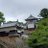 だいすけ(裏垢)のアイコン