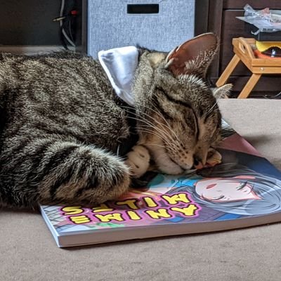 Gamer, musician, she/her, streams sometimes on twitch w/same handle.
https://t.co/83ey4f0pGn