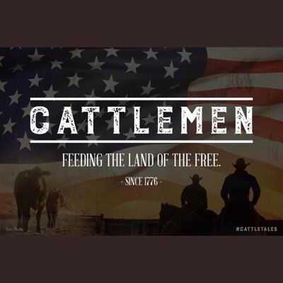 BStamps4's profile picture. 