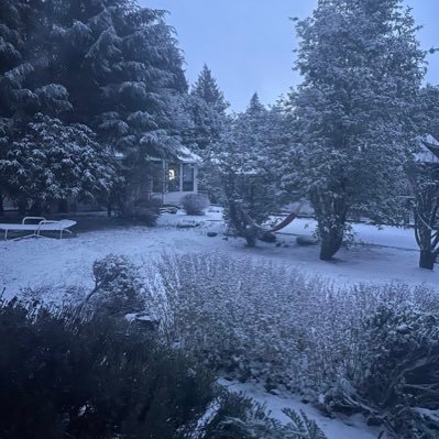 makav__ALI's profile picture. 