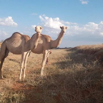 @JHassan38565538