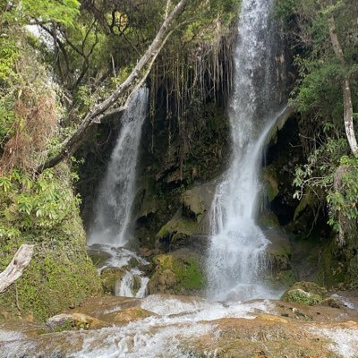 ChilMarc2018's profile picture. https://t.co/1ByCQQ3C5q sciences(Reseaux et Telecommunications )