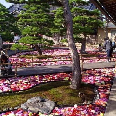 島根県の田舎に住んでます💁
宜しくお願いします😊