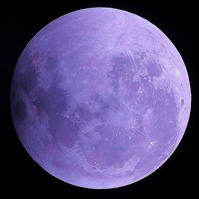 violalu88884249's profile picture. 健康維持の為、筋トレ始めました。筋肉いじめるの楽しいな。Mか？？笑