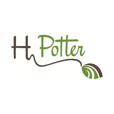 H Potter