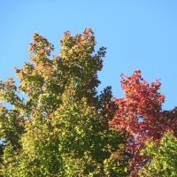 IWo (@12when12) 's Twitter Profile
