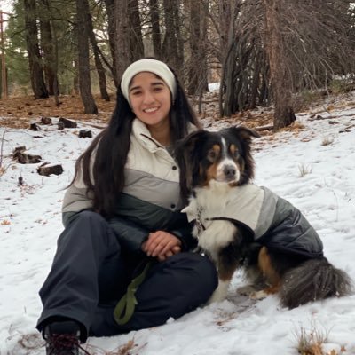 _llamayama's profile picture. 🇨🇴🇻🇪