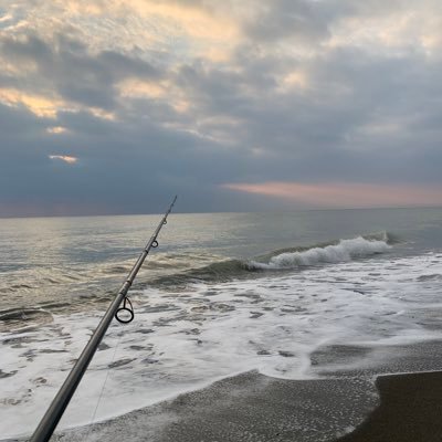 ariocs123's profile picture. サブ垢ですよろしくどうぞ((｡´･ω･)｡´_ _))ﾍﾟｺﾘ