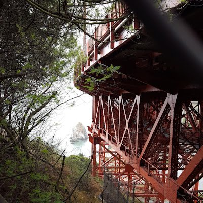 ZinhDo's profile picture. 