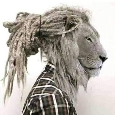 o_u_s_s_e_m_a's profile picture. 