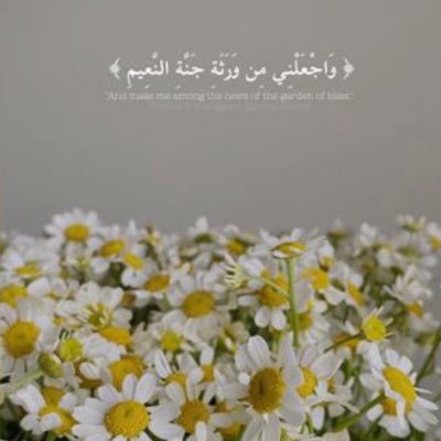 Falajmi011's profile picture. 