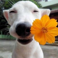 Angel🇨🇳 (@ruanli63571407) 's Twitter Profile