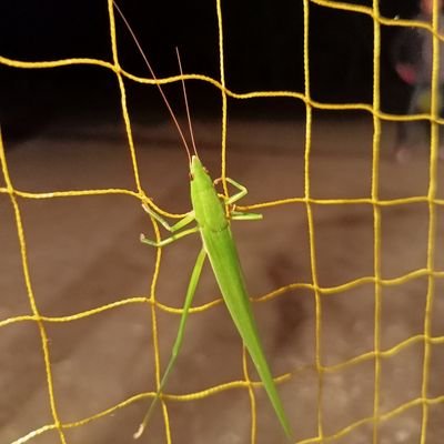 MDkamru89's profile picture. 