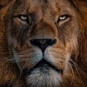 mqthkp's profile picture. 