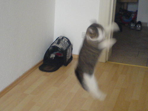 DMueller10115's profile picture. 