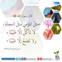 جبلاوي (@jt2uwzghiwtflqb) 's Twitter Profile