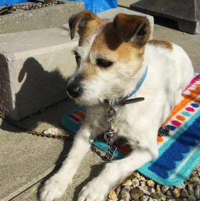 0410tsuyo's profile picture. はじめまして