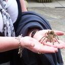 susan vickers - @kayvickers - Twitter