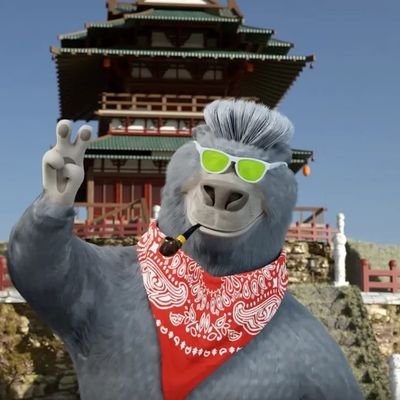 seriousbozz's profile picture. fascinated by expensive Jpgs