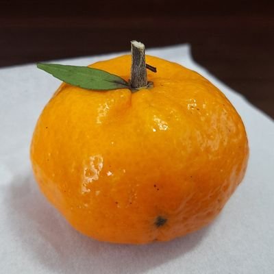 lizmeg_'s profile picture. 