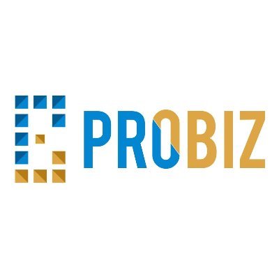 Probiz_ae's profile picture. We offer business services: Company formation/Business setup services, PRO services, Business consultancy services and visa services across Dubai, UAE