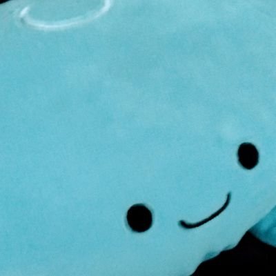 天麩羅さんのプロフィール画像