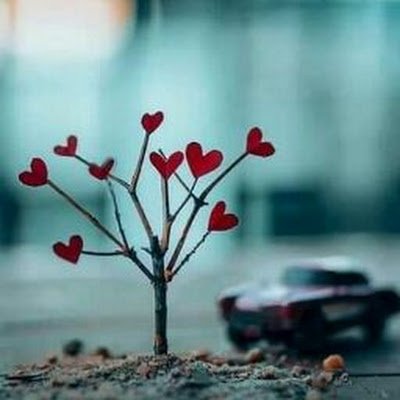 AKRATIS11645063's profile picture. 