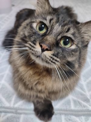 Fx29834265's profile picture. MonsterGOLDSEg使い
FutureGOLD使い