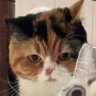 strsugad's profile picture. ᅲ ᅲ