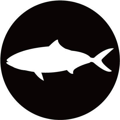 YrFixk's profile picture. 