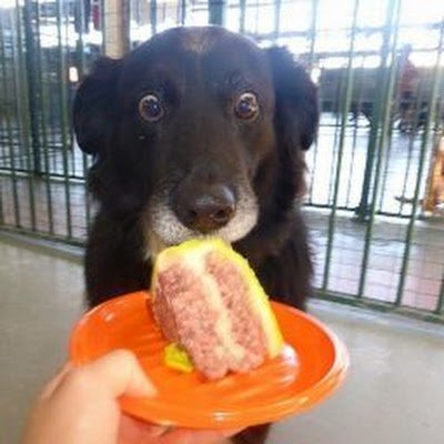 AlekInfo1's profile picture. 