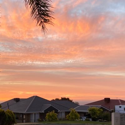 asianyogi's profile picture. 200 h yoga teacher | Registered Nurse |Dementia Nurse