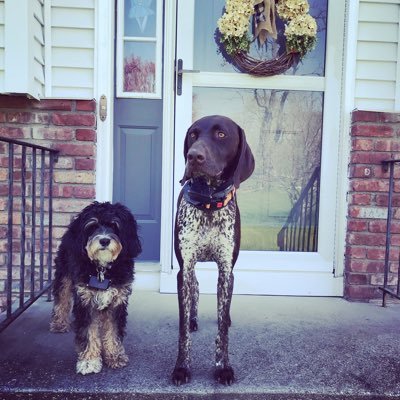 murphmath's profile picture. 👩‍🏫📚📓🏀🏃‍♀️🐶🐶