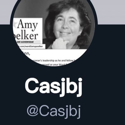 See also Gettr Casjbj Twitter @alderwomanamyp Paid for by Amy Poelker.