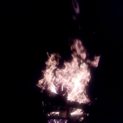 696Agave's profile picture. 