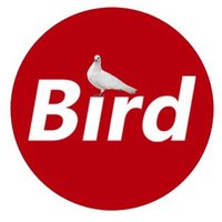 The Bird media(@Birdmedia2) 's Twitter Profile Photo