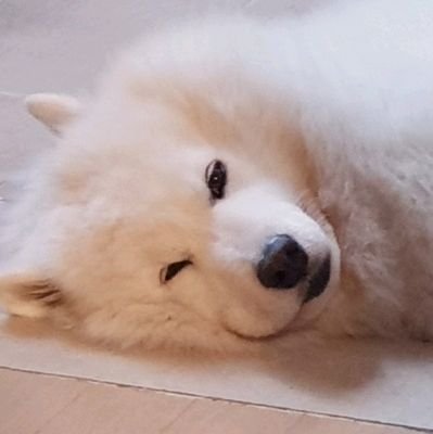 지팝さんのプロフィール画像