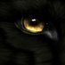 Rover_palomo (@palomorover) Twitter profile photo Rover_palomo (@palomorover) Twitter profile photo